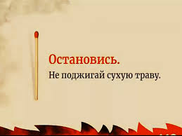 НЕ ПОДЖИГАЙТЕ ТРАВУ!. НЕ ПОДЖИГАЙТЕ ТРАВУ!.