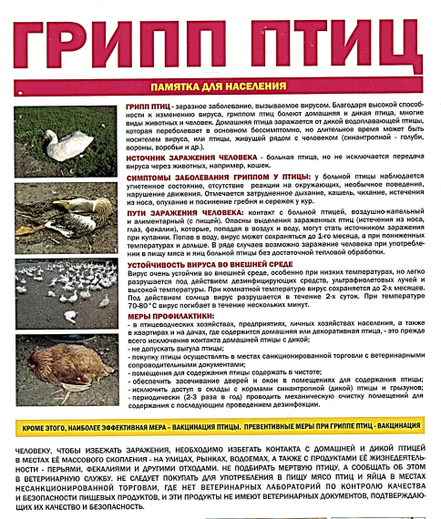 К СВЕДЕНИЮ НАСЕЛЕНИЯ. К СВЕДЕНИЮ НАСЕЛЕНИЯ.
