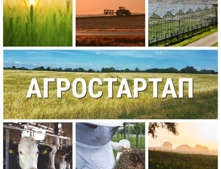 Для желающих участвовать в конкурсном отборе. Для желающих участвовать в конкурсном отборе.
