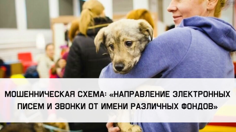 ВНИМАНИЕ! МОШЕННИКИ!. ВНИМАНИЕ! МОШЕННИКИ!.